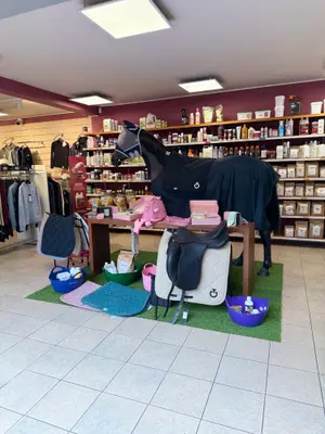 Sellerie De Gozée — photo