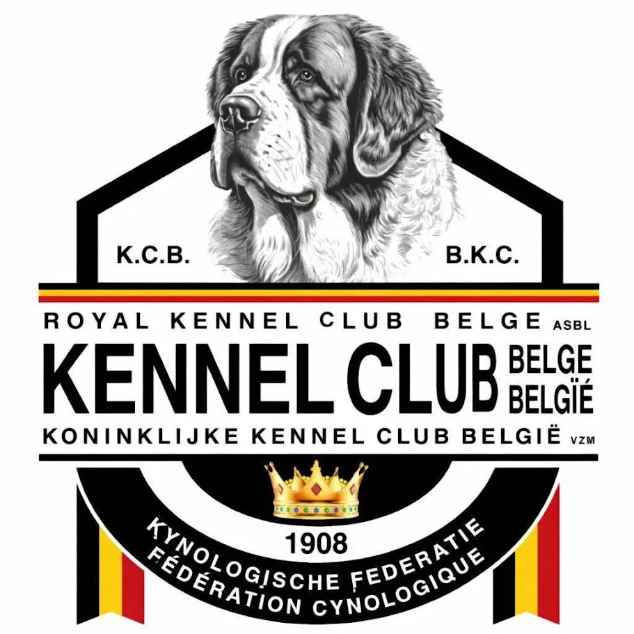 Société Royale Kennel Club Belge asbl/Koninklijke Kennel Club Belgie — photo