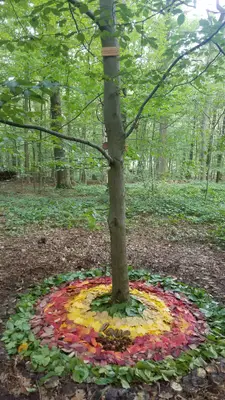 Arbres du Souvenir — photo