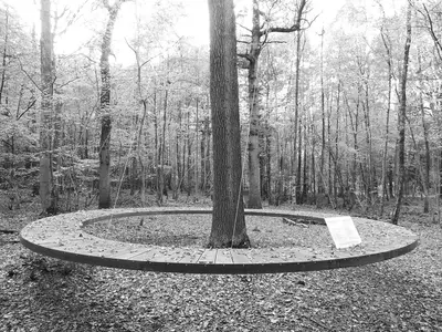 Arbres du Souvenir — photo