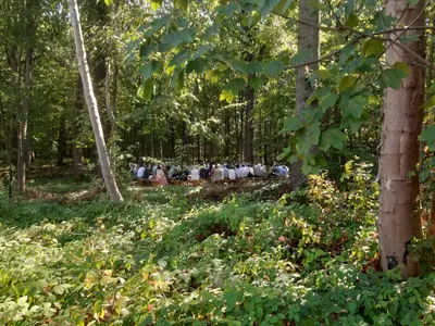 Arbres du Souvenir — photo