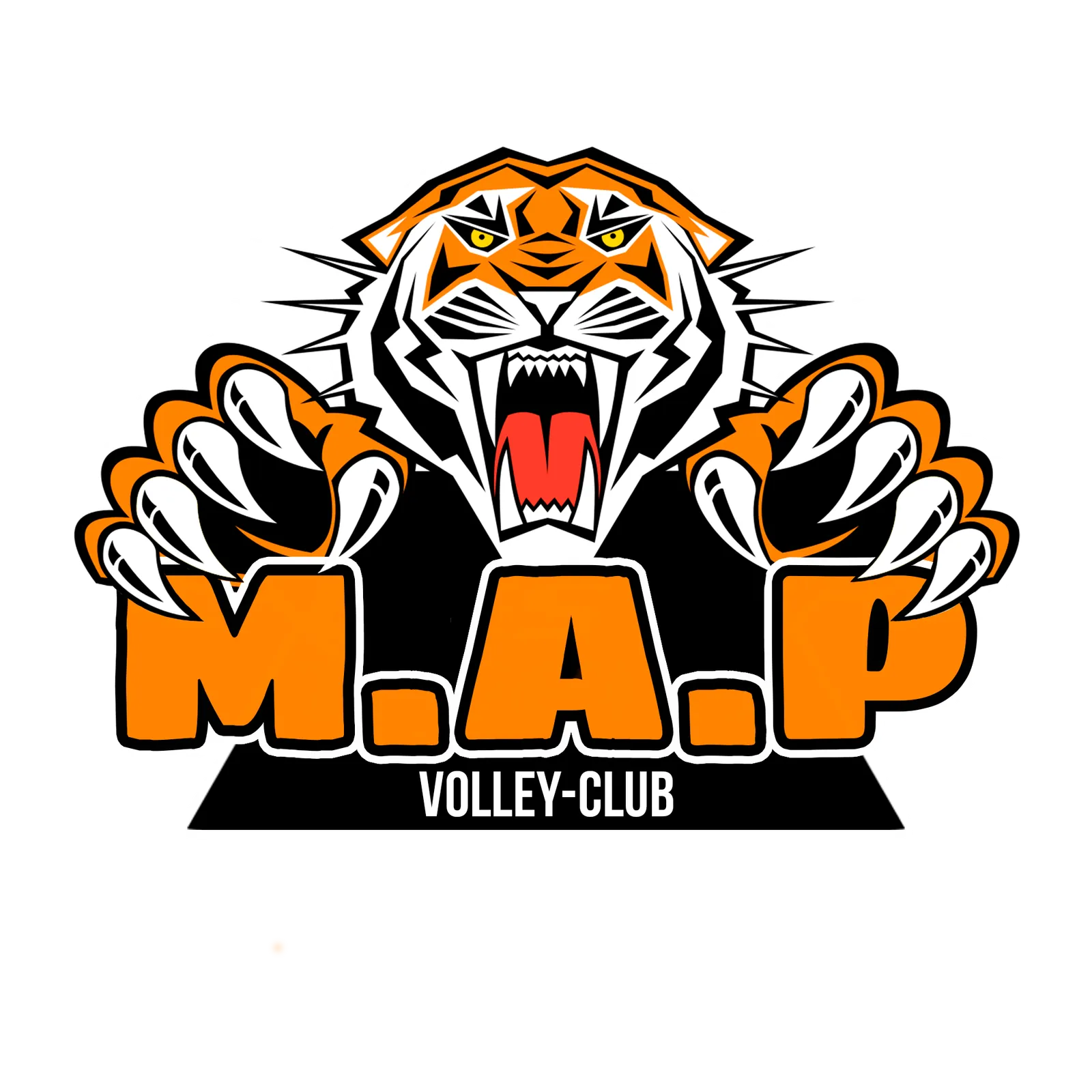 MAP Volley Club — photo