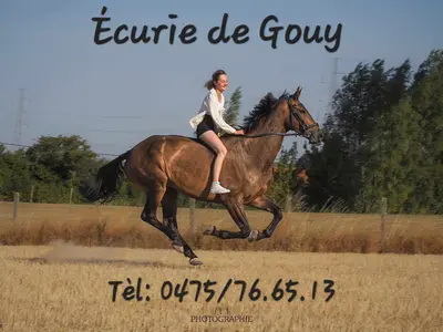 Écurie De Gouy — photo