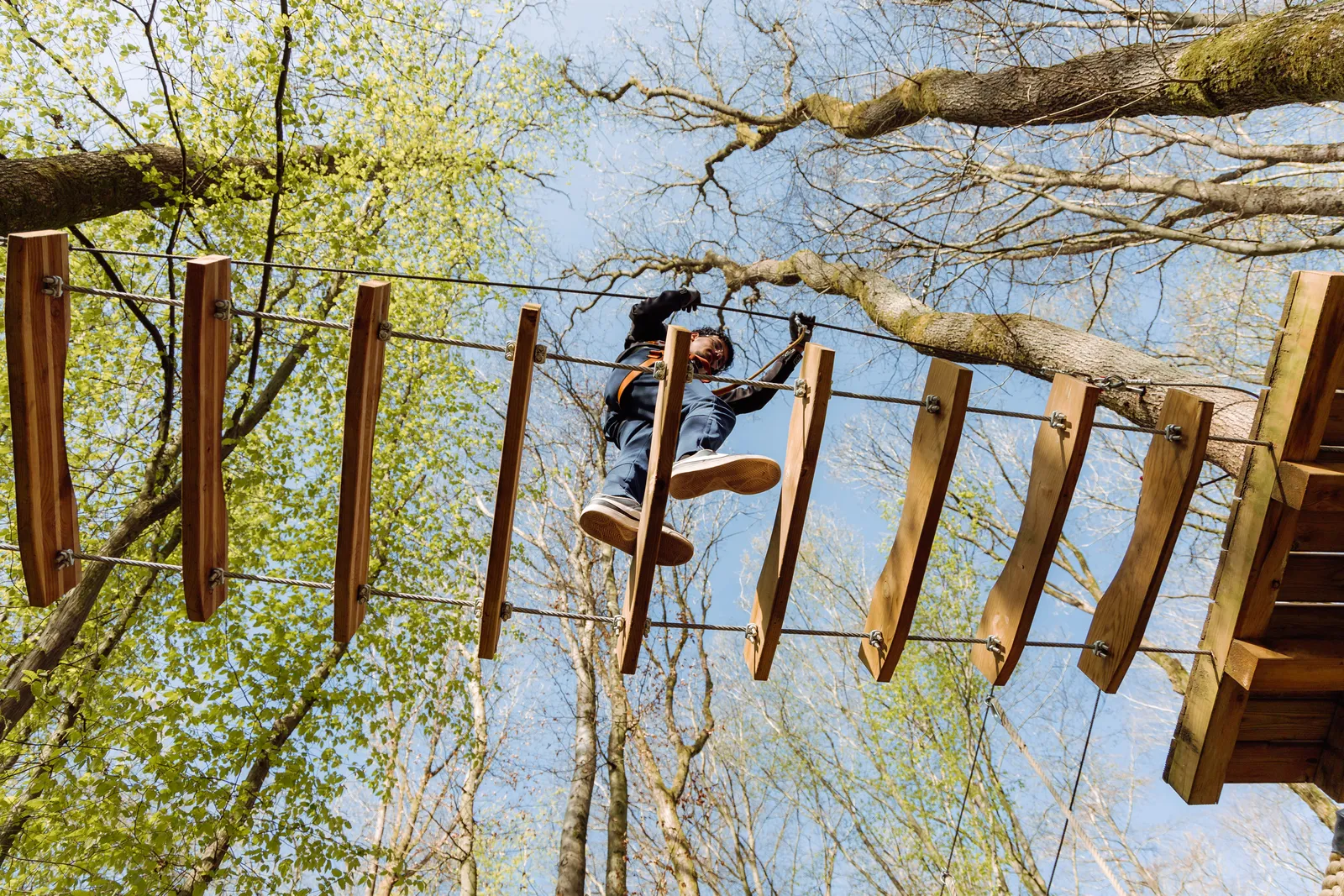 Arboreo Accrobranche Charleroi — photo