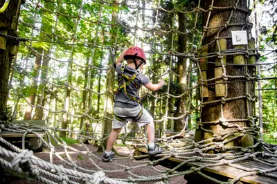 Arboreo Accrobranche Charleroi — photo