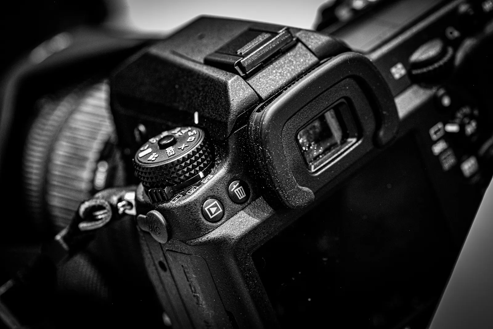 LPM-creation-Photographe — photo