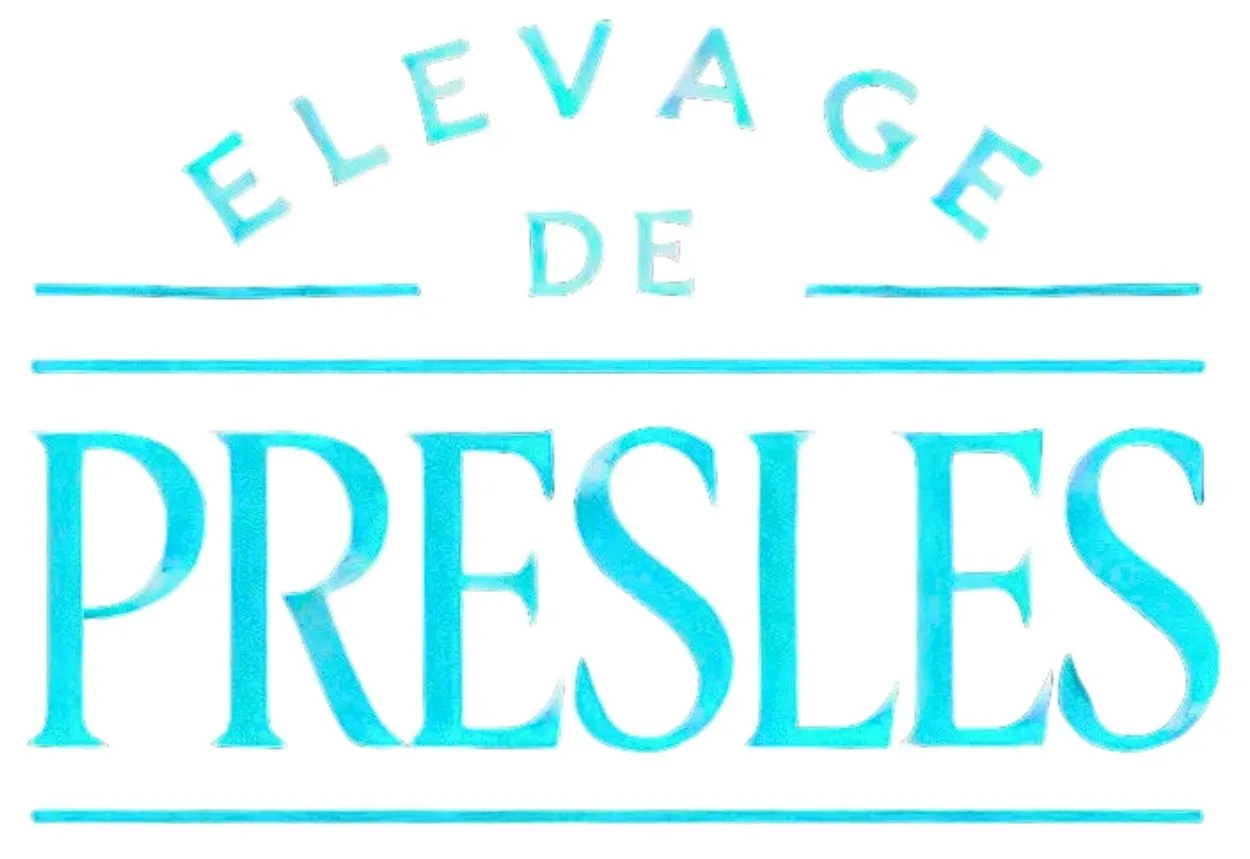 Ferme Wyngaert/ Elevage de Presles — photo