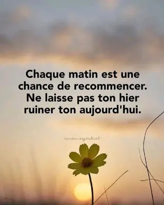 Le Chemin de la Renaissance - Pair-aidance alcoolique — photo