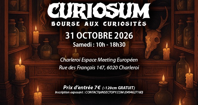 Affiche — CURIOSUM 2026 — Bourse aux Curiosités