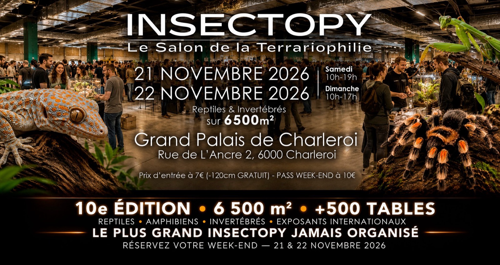 Affiche — INSECTOPY 2026 — Salon de la Terrariophilie